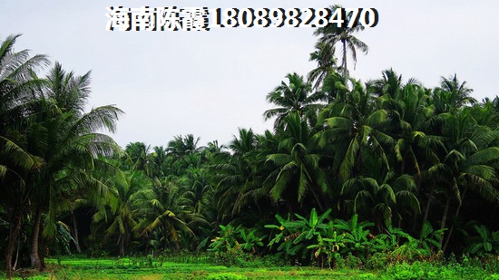 海南2025年房价哪里便宜？2