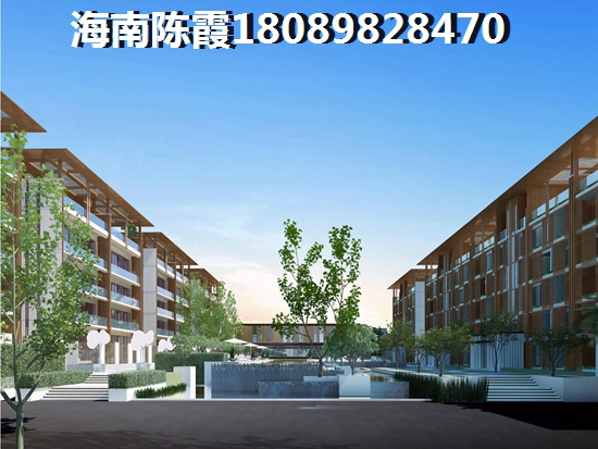 2025年海南海口房产前景4