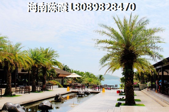 申亚翡翠谷三期买房养老解答2025！海南性价比醉高的楼盘在哪？