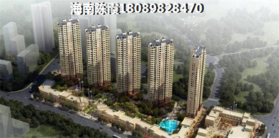 2025年海南touzi房产解析