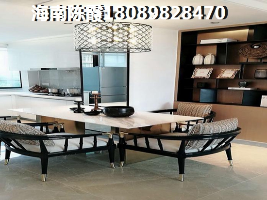 海南touzi购房2025