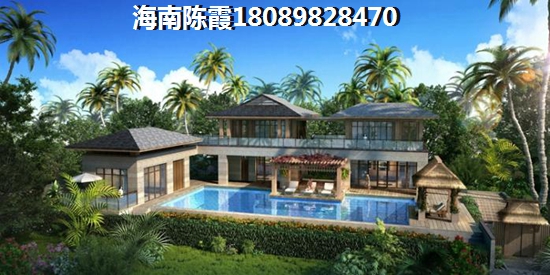 2025如何购买东郊椰林壹号二手房