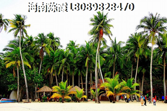 观澜湖·艺墅房子XG如何买房？