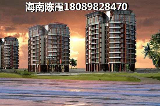 半岛·海洋国际性价比