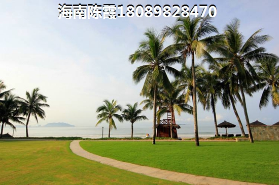 海南醉舒服三个城市