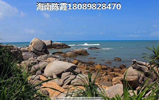 东和福湾的优缺点是什么？