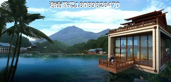 看看“候鸟”对海岳半岛城邦评说！