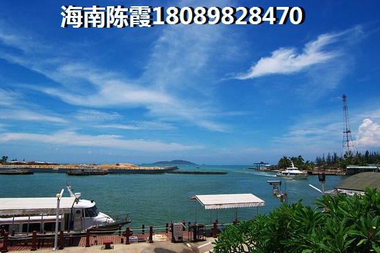 大名县适合去旅游的地方有哪些