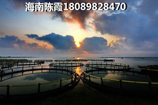 海南岛房价会跌吗？