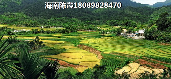 绿地·新海岸为什么火爆？
