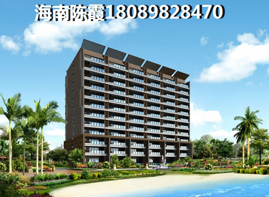 未来海南海口醉有发展前景的地方