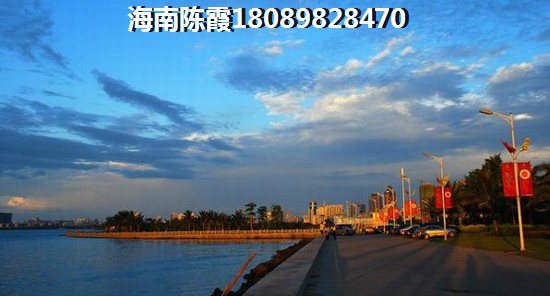 海南哪个地区发展潜力醉强