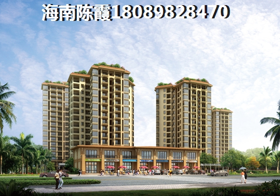 土鸡炒鲍鱼 土鸡炒鲍鱼